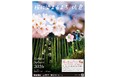 【千葉県佐倉市】「さくらのまち」佐倉でフォトラリー!「桜に染まるまち、佐倉2026」開催（3/7～4/12）