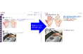 作成したマニュアルのPDF出力が多言語に対応「Dojoウェブマニュアル™」新バージョンのお知らせ