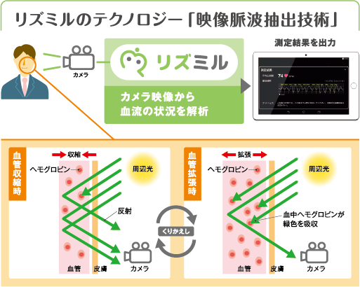 モンスト シリウス 獣 神化 モンスト 弁財天 シリウスがサプライズ獣神化 緊急考察 獣神化性能予想 7周年xflagpark一日目 モンスト モンスターストライク 動画まとめ Amp Petmd Com