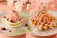 カフェ『ココノハ』より春限定メニュー「桜モンブランの春色ワッフル&パンケーキ」が3/1(土)から販売スタート!