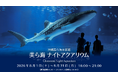 【沖縄美ら海水族館】夏の夜 水族館で特別な時間を「美ら海ナイトアクアリウム」開催