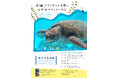 【海洋博公園】8/23（日）　海洋文化館 × 沖縄美ら海水族館　海洋文化講座スペシャルセッション「沖縄のウミガメの生態と太平洋のウミガメ文化」開催