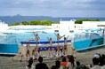 【沖縄美ら海水族館】オキちゃん劇場が地域と観光をつなぐ“憩いの場”に！