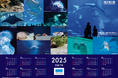 【沖縄美ら海水族館】開館22周年記念「2025年オリジナルカレンダー」をプレゼント!!