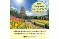 【海洋博公園】県内最大級「チューリップフェア」開催!~約 40 品種・8 万本のチューリップが一足早い春をお届け~