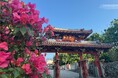 【首里城公園】春の訪れを感じる「華みぐい」開催!(期間:令和7年2月15日~3月31日)