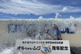 【沖縄美ら海水族館】イルカと楽しむ全身で感じる夏!『Summer Show』開幕!