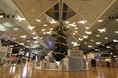 中部国際空港セントレア　光り輝く飛行機が空港を彩る『FLIGHT　CHRISTMAS2021』を開催