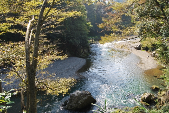 秋川の清流で生き物探し