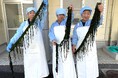 水産業支援「生産者の労働力不足の解決」と「コスト削減による値下げ」を実現!親子で一緒にわかめの構造を学び、春休みの自由研究にも使える。 芯(茎)抜き作業前の「茎付きわかめ」