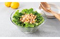 2026年6月デビュー　野菜をたべよう！５種具材のサラダのベース（レモン）