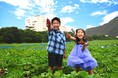 海を望む絶景ホテル☆徳島ブランド【なると金時収穫体験】秋の日帰り旅♪ 芋掘り×郷土料理バイキング×鳴門温泉