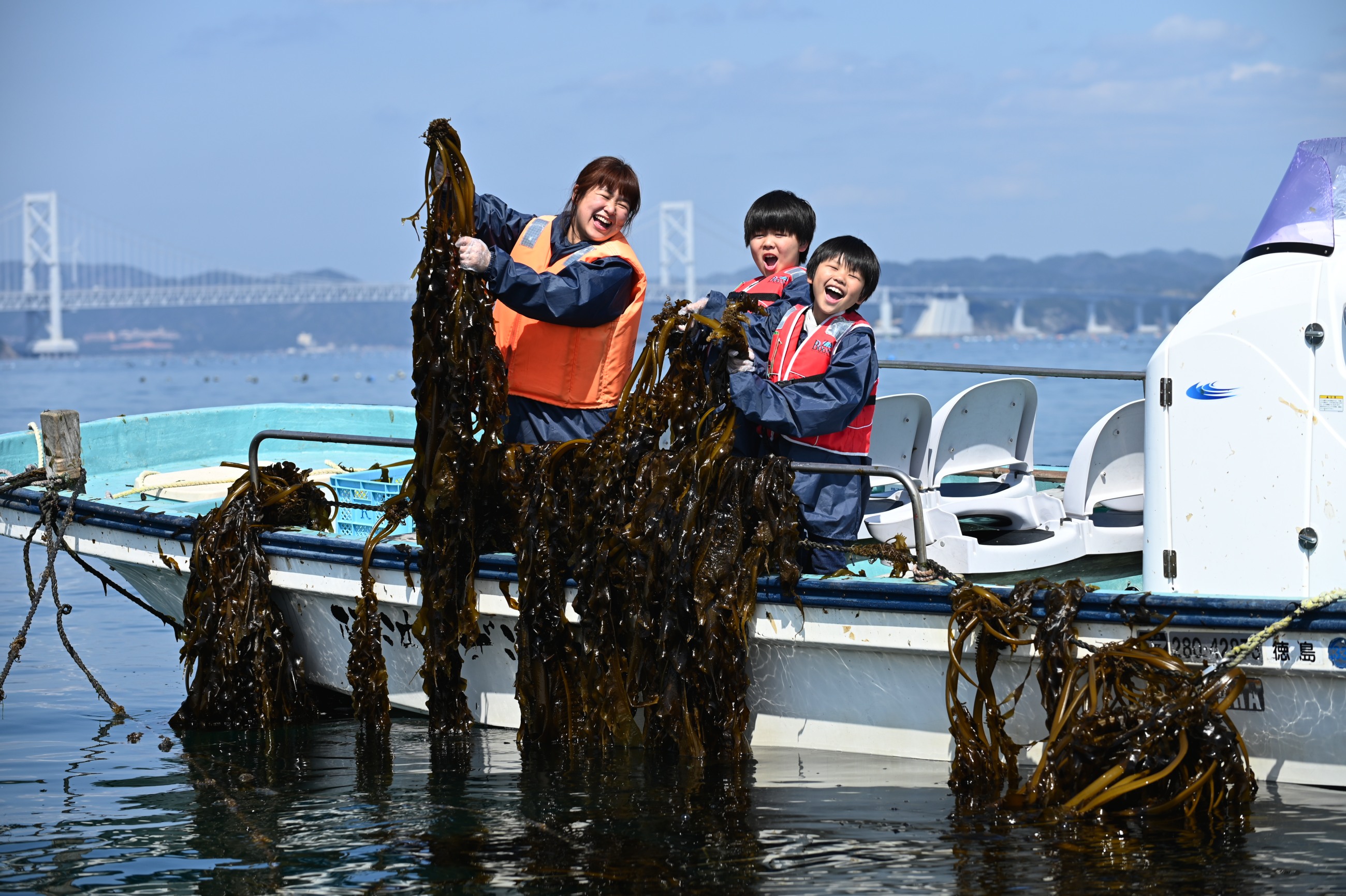 2～3月限定【本場！鳴門わかめ漁＆塩蔵体験】刈り取り、湯通し、塩もみ、しゃぶしゃぶetc｜株式会社H.P.D.コーポレーションのプレスリリース