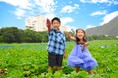【なると金時収穫体験】海を望む絶景ホテル☆日帰り欲張りプラン♪芋掘り×郷土料理バイキング×鳴門温泉