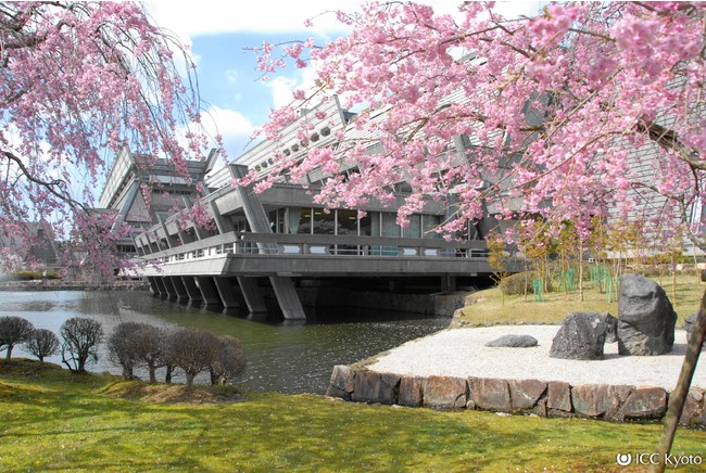 国立京都国際会館　池側からの建築美と桜