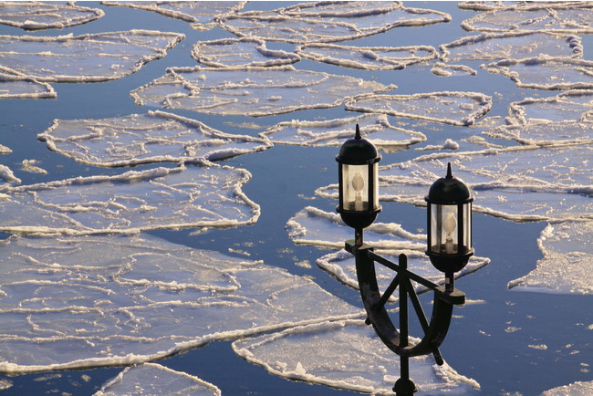 釧路川に浮かぶ蓮の葉氷（イメージ）