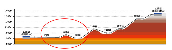 10月下旬～11月上旬