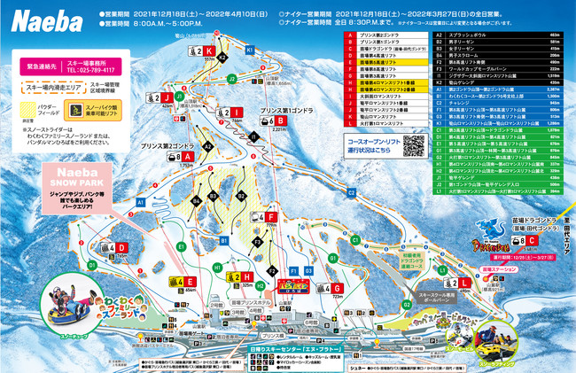 かぐら・苗場スキー場【リフト引換券】○1枚売り不可 - スキー場