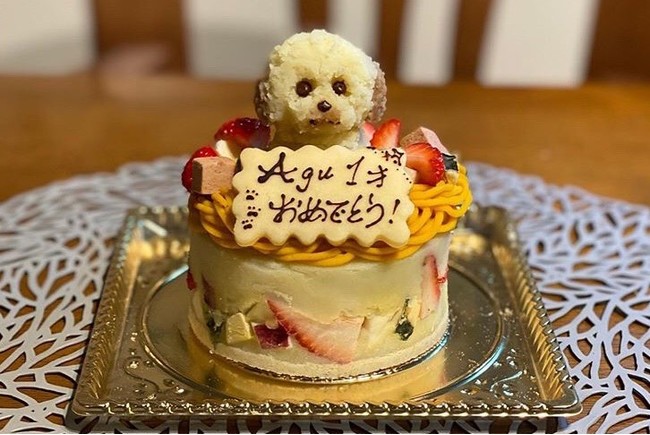 軽井沢プリンスホテル イースト 愛犬との誕生日旅行をもっと特別に ワンちゃん用バースデーケーキ付きドッグコテージプランを販売 西武 プリンス ホテルズワールドワイド 外食業界の新店舗 新業態など 最新情報 ニュース フーズチャネル