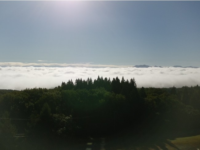 客室からの雲海 客室からの雲海