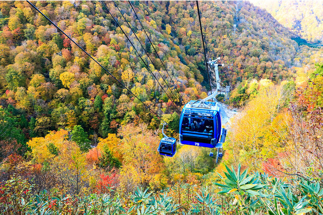 日本最長5,481m 苗場ドラゴンドラ