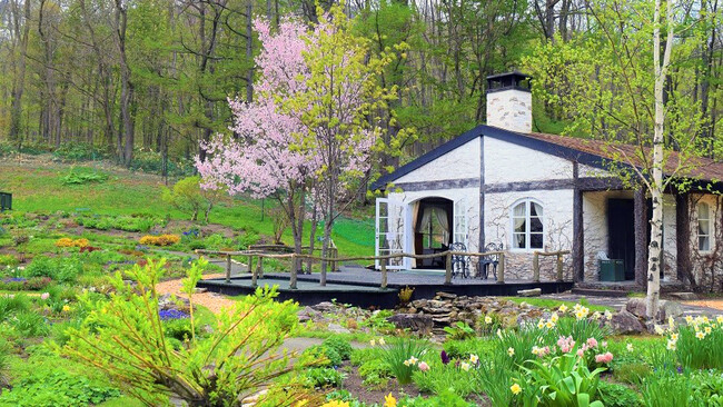 5月のガーデン 5月のガーデン