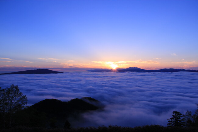 大雲海イメージ２.