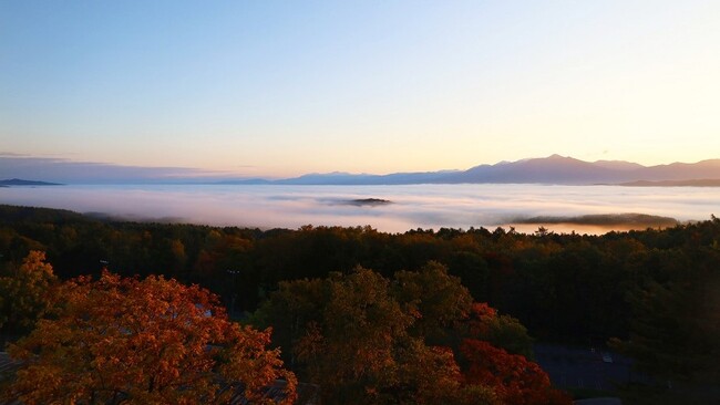 客室からの絶景紅葉