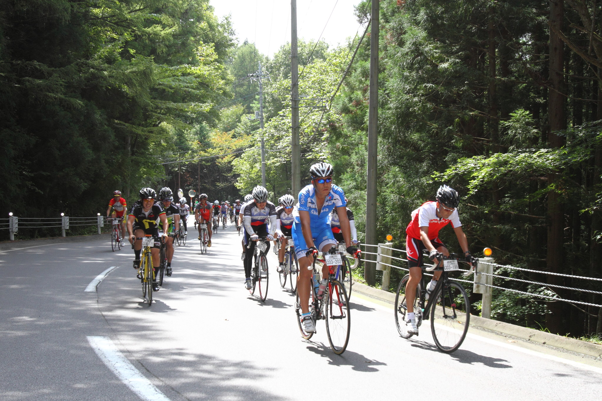 自転車 村