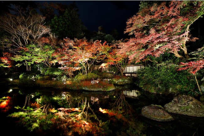 「茶寮」と日本庭園　紅葉の季節の夜景