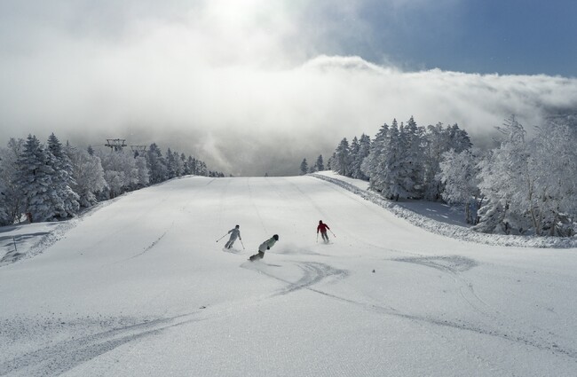 志賀高原 焼額山スキー場