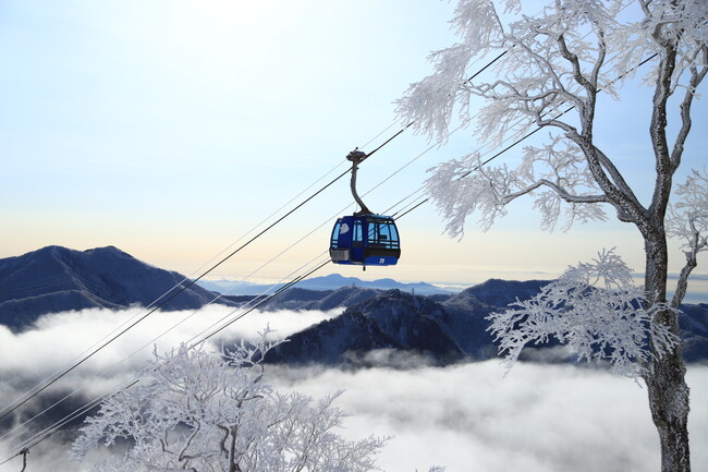 早朝ゴンドラで絶景雪景色を満喫