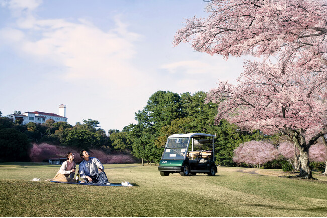 【川奈ホテル】早咲きの寒桜や河津桜、大島桜、染井吉野、八重桜まで。桜を見ながら絶景のゴルフコースを電動カートで周遊する「お花見クルーズ」を販売【販売期間】2024年2月3日(土) ～ 4月7日(日)