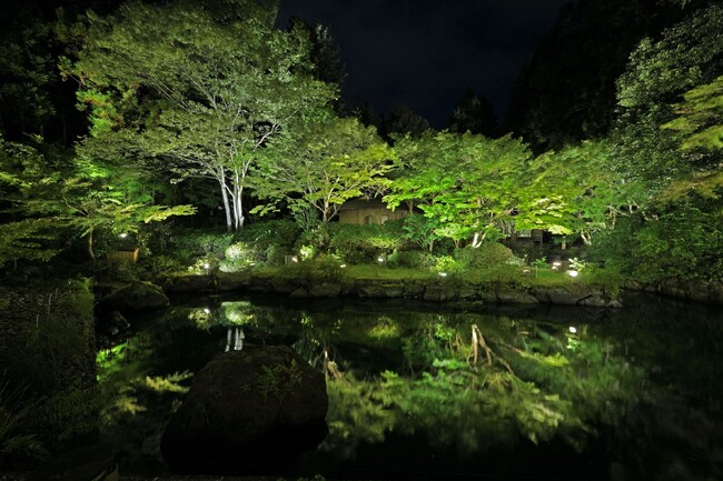 日本庭園 深緑のライトアップ