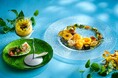 ザ・プリンスギャラリー 東京紀尾井町 夏の大地に力強く育つ草花をテーマにしたプラントベースのアフタヌーンティーを販売