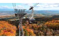 【富良野スキー場】ワンちゃんと一緒に「絶景空中散歩」富良野ロープウェー紅葉営業「絶景×遊び」をテーマにした標高900mの新スポット「ふらのの森“ASOBOU”」を同時開催
