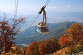 【六日町 八海山スキー場・八海山ロープウェー】秋の絶景と雲海を望む「雲海鑑賞」ロープウェー特別便運行中!【運行期間】2025年11月16日(日)まで