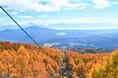 【妙高杉ノ原スキー場】妙高の紅葉を満喫「妙高杉ノ原ゴンドラ」紅葉営業　10月11日（土）から営業開始