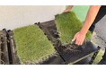 【大箱根カントリークラブ】ゴルフ練習に革命とサスティナビリティを。ゴルフ場導入は全国初「天然芝の練習打席 SHIBAHUプレート」を新設