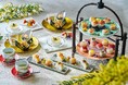 可憐で美しいミモザをテーマにした寿司スタイルのアフタヌーンティーJapanese Afternoon Tea～華凛～を販売 ザ・プリンスギャラリー 東京紀尾井町