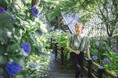 【鎌倉プリンスホテル】梅雨の鎌倉を彩る紫陽花と古都の風情を満喫「長谷寺の拝観券付き宿泊プラン」を販売