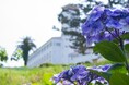 【川奈ホテル】雨の日だからこそ愉しめるクラシックホテルの魅力