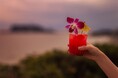 【鎌倉プリンスホテル】七里ヶ浜を望む絶景ロケーションで楽しむ湘南の“ハワイアン・タイム”「HAWAIIAN FAIR 2026」開催
