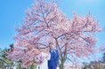 【プリンスグランドリゾート軽井沢】結婚式後も人生の節目に寄り添うホテルへ　軽井沢の四季を通して想い出を紡ぐ「四季彩フォトプラン」登場