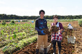 【川越プリンスホテル】地元農園でさつまいも掘り体験ができる秋限定宿泊プラン川越の“いも文化”を味わい尽くす「小江戸秋旅」を販売