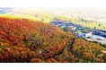 早朝・紅葉・星空の各時間帯で異なる景観を体験　雫石プリンスホテルが提供する絶景滞在【雫石プリンスホテル・雫石スキー場】