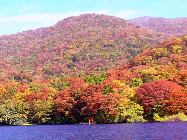 芦ノ湖周辺の紅葉