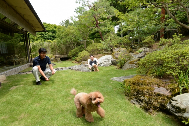 伊豆長岡温泉 三養荘