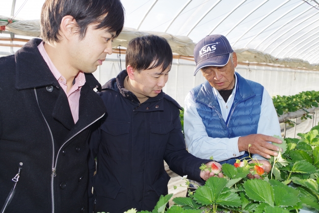 イチゴ生産者を訪問した「スイーツ＆ベーカリー ル・パン神戸北野」のパティシエたち