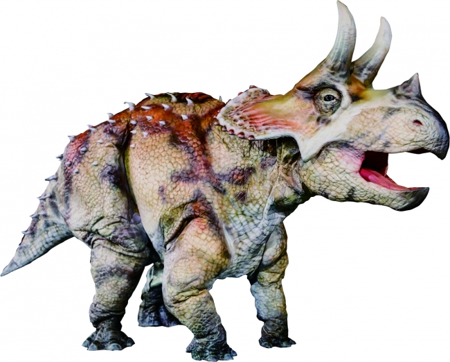 渋谷のgwを強襲 リアル恐竜サファリ Dino Safari 出演恐竜決定 So Cute な 子トリケラ が初登場 株式会社on Artのプレスリリース